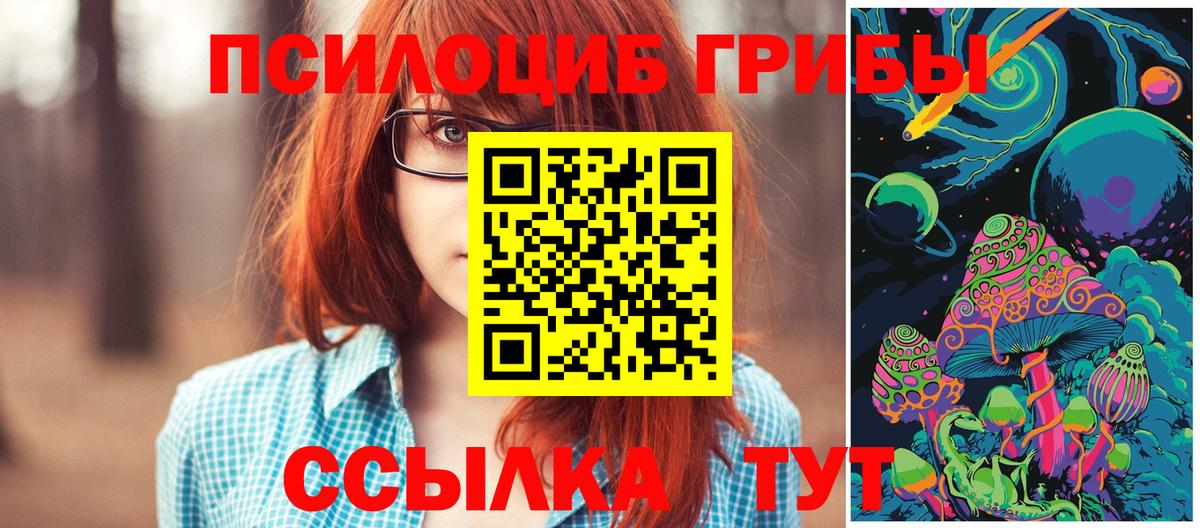 Галлюциногенные грибы Cubensis  Вход с VPN  Горно-Алтайск  Галлюциногенные грибы GOLDEN TEACHER 