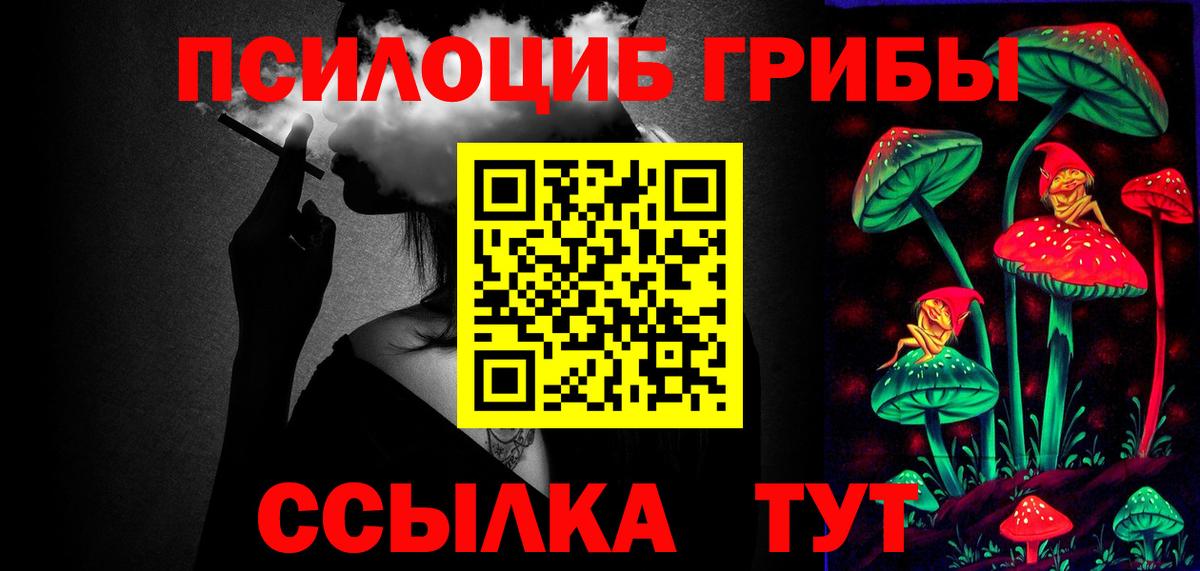 Галлюциногенные грибы прущие грибы Горно-Алтайск